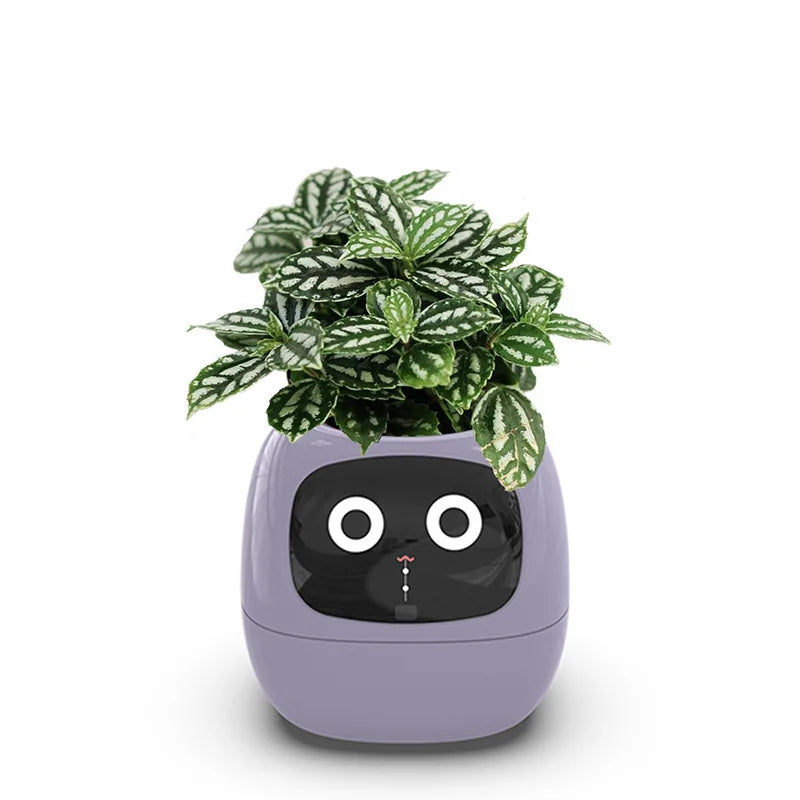 IvySmart™ AI-Powered Plant Care Planter