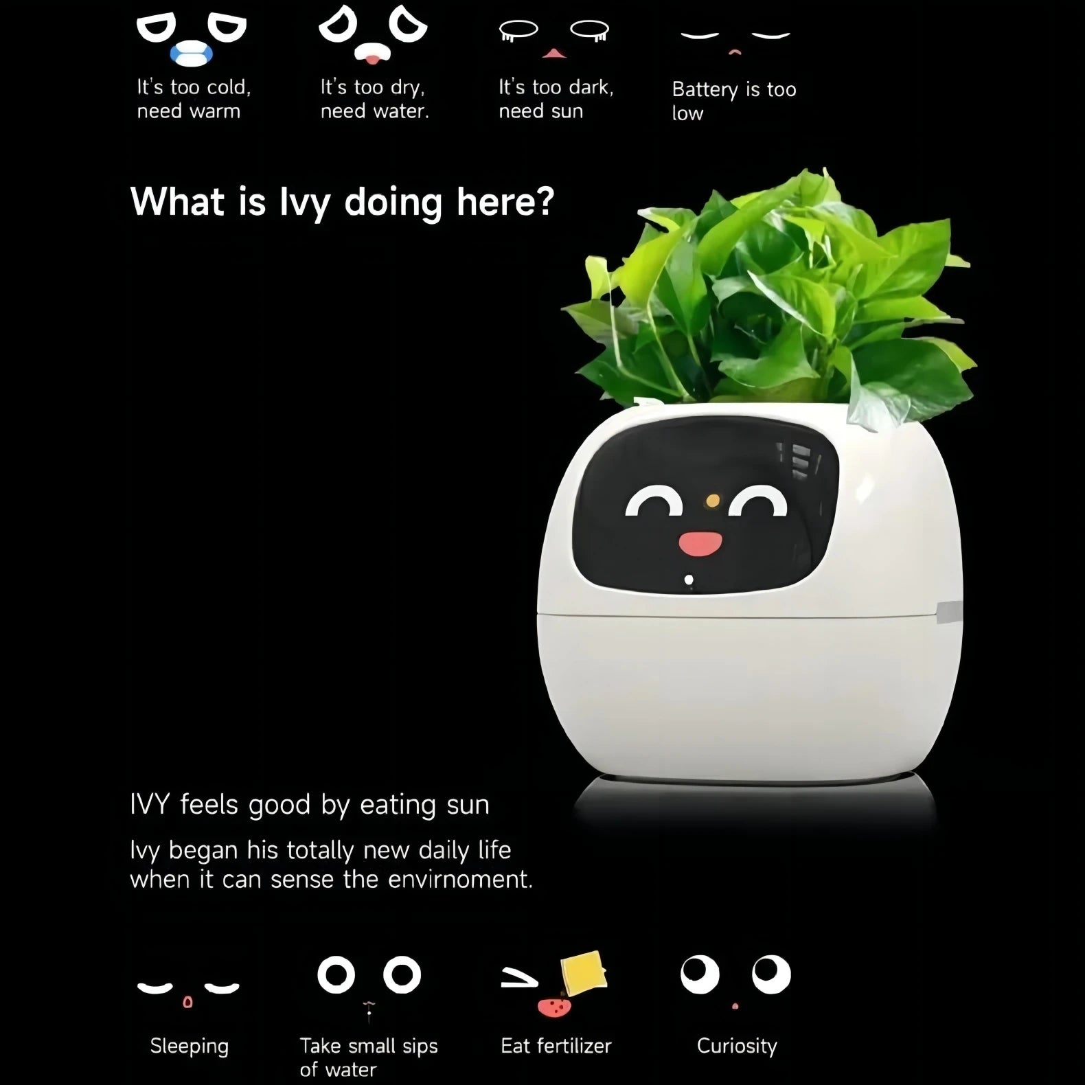 IvySmart™ AI-Powered Plant Care Planter
